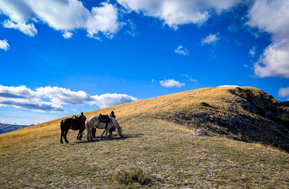 pause - randonnée équestre en montagne dans les Hautes Alpes