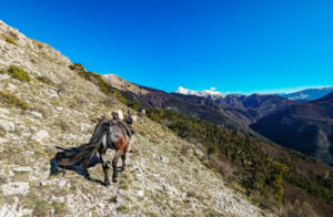 petit sentier - randonnée équestre en montagne dans les Hautes Alpes