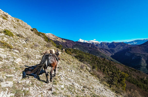 petit sentier - randonnée équestre en montagne dans les Hautes Alpes