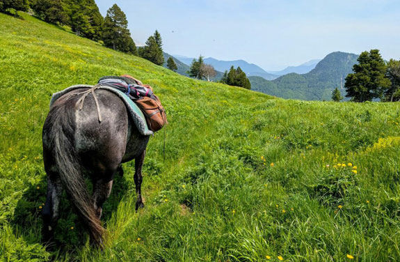 randonnée équestre en montagne dans les Hautes Alpes