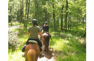 week-end cheval en bretagne