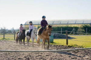 Colonie équitation enfants et adolescents en Gironde de 8 à 15 ans