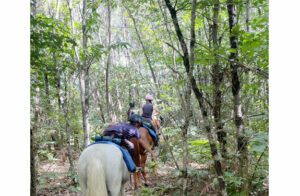randonnée à cheval pour ados en Touraine