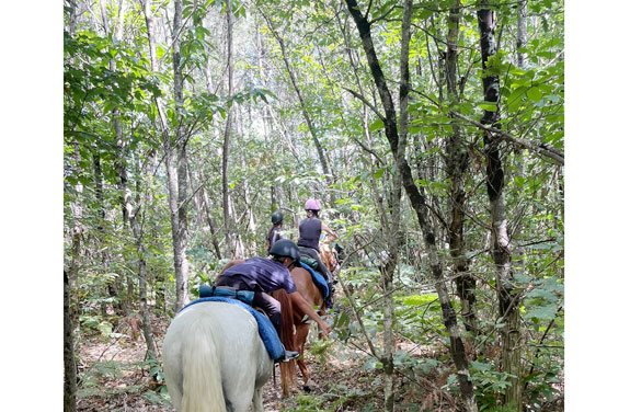 randonnée à cheval pour ados en Touraine