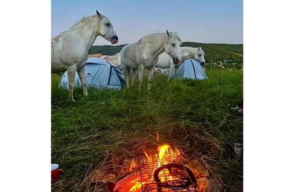 feu lors du week-end cheval dans le Vexin