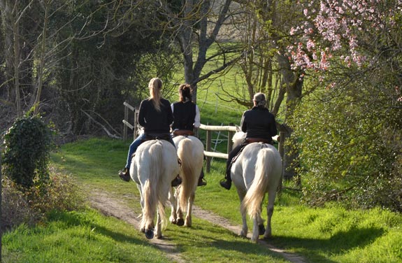 dans le Vexin balade à cheval